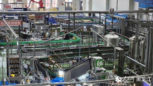 民營(yíng)企業(yè)進(jìn)邊疆，共尋龍江熱土發(fā)展機(jī)遇——生物技術(shù)研發(fā)的藍(lán)海與擔(dān)當(dāng)