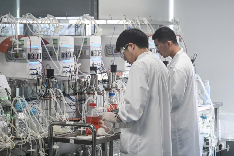 國(guó)產(chǎn)抗癌藥登頂全球之巔 中山藥企迎來(lái)生物技術(shù)行業(yè)的“DeepSeek時(shí)刻”