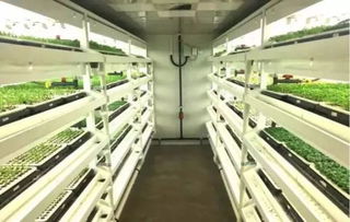 生物科技助力鄉(xiāng)村振興 植物工廠簽約落戶撈刀河畔田園綜合體