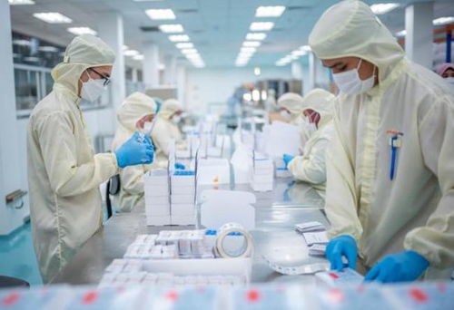 從芯片到生物醫藥 中美科技博弈的新前沿與生物技術研發的挑戰