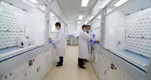 煙臺業達孵化中心入孵企業ADC新藥申報臨床，區域生物技術研發迎來新突破